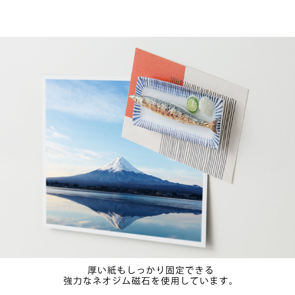 Midori Miniature Magnet - 1pc Samma — in use