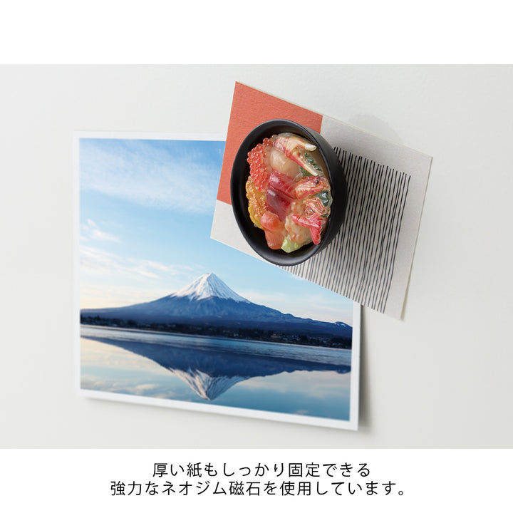 Midori Miniature Magnet - 1pc Seafood — in use
