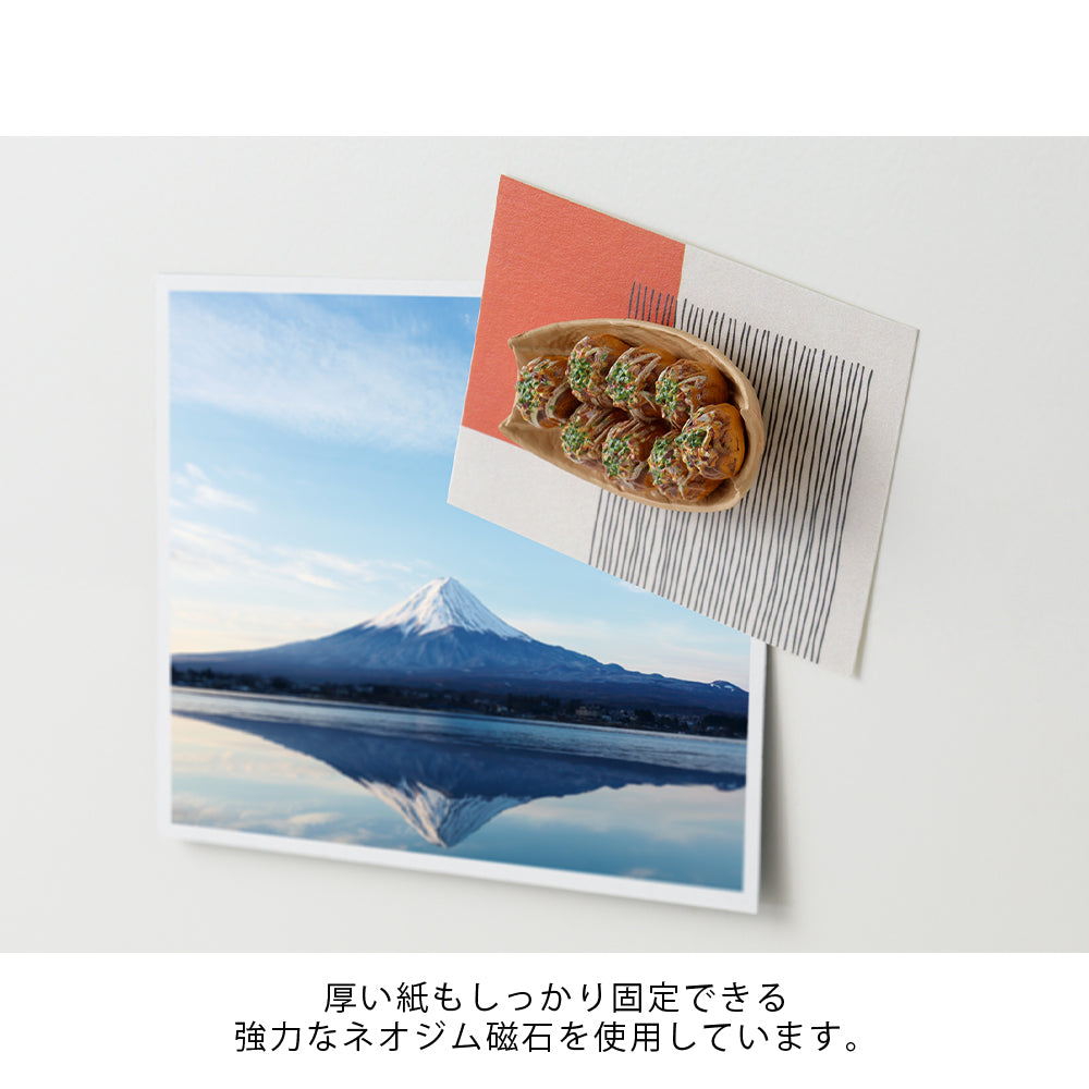 Midori Miniature Magnet - 1pc Takoyaki — in use