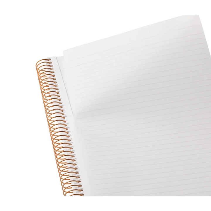Maruman A5 Spiral Note BASIC 6.5mm 150 Sheet - Grey — with packaging