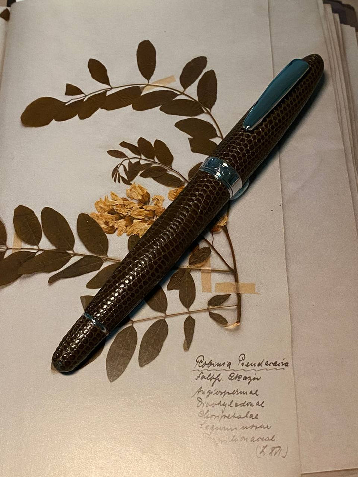 Luxo Limited Edition Leather Fountain Pen - Brown (Fine Nib) — capped