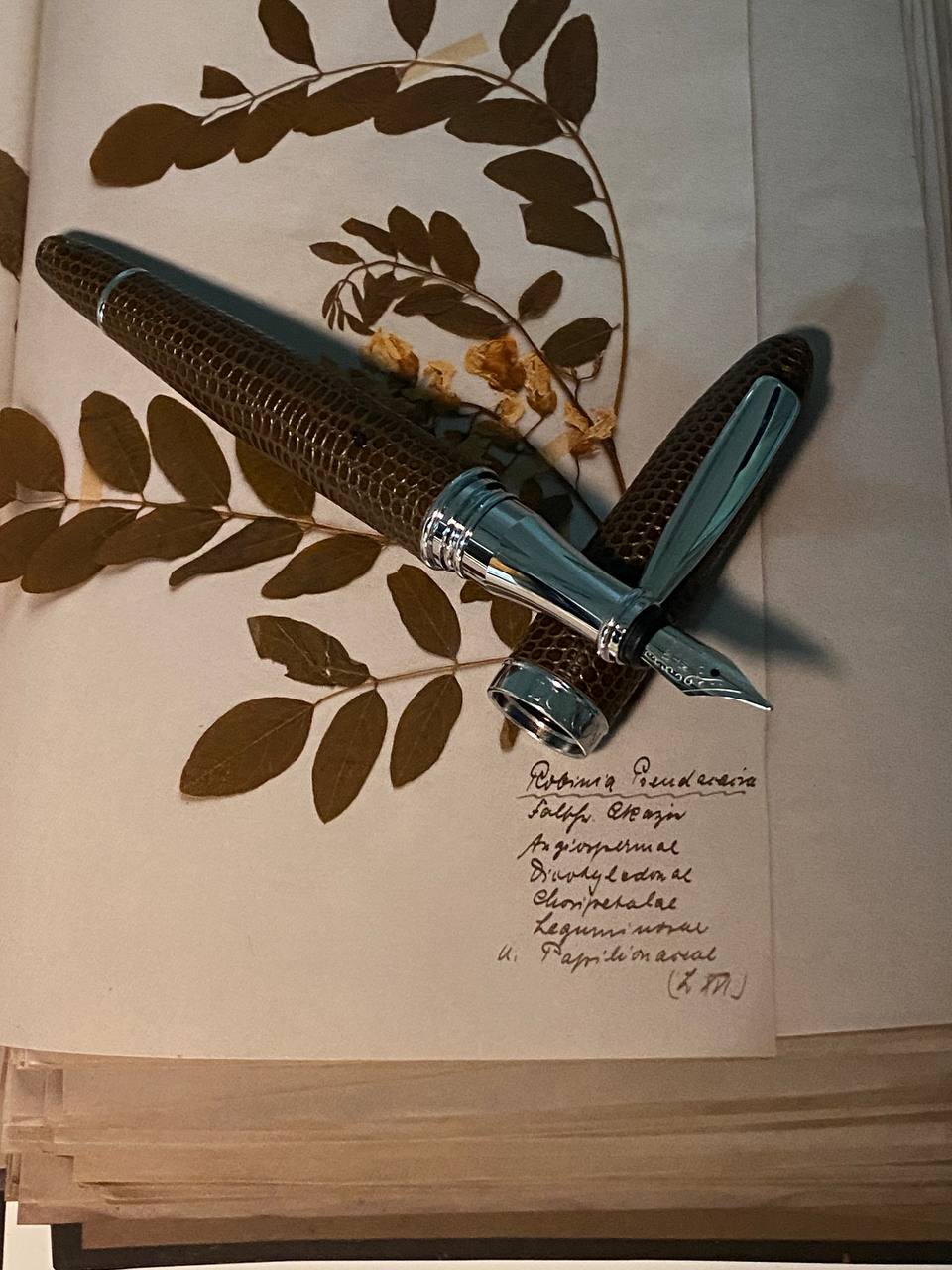 Luxo Limited Edition Leather Fountain Pen - Brown (Fine Nib) — uncapped with cap posted