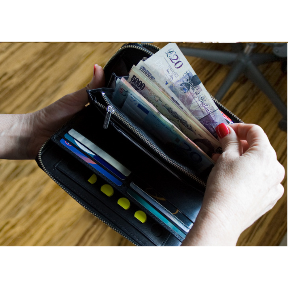 Acme Studio Wallet Organizer with Zip - Proust — side view
