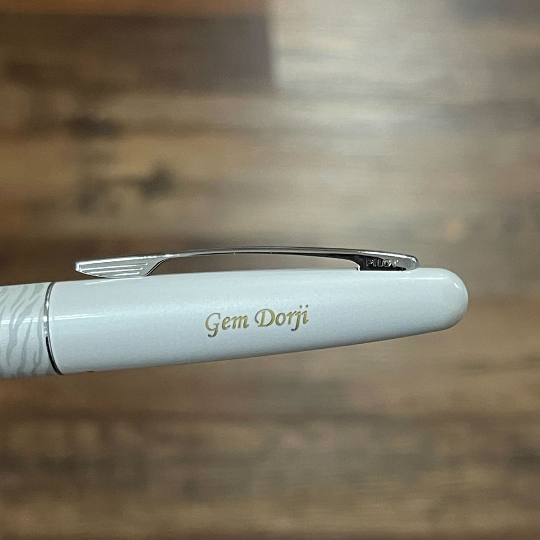 Pilot Metropolitan Animal MR2 Fountain Pen — PILOT fountain pen — precision nib writing instrument, at Cityluxe Singapore stationery store