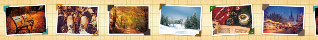 MT EX Washi Tape - Memory Album — applied on surface