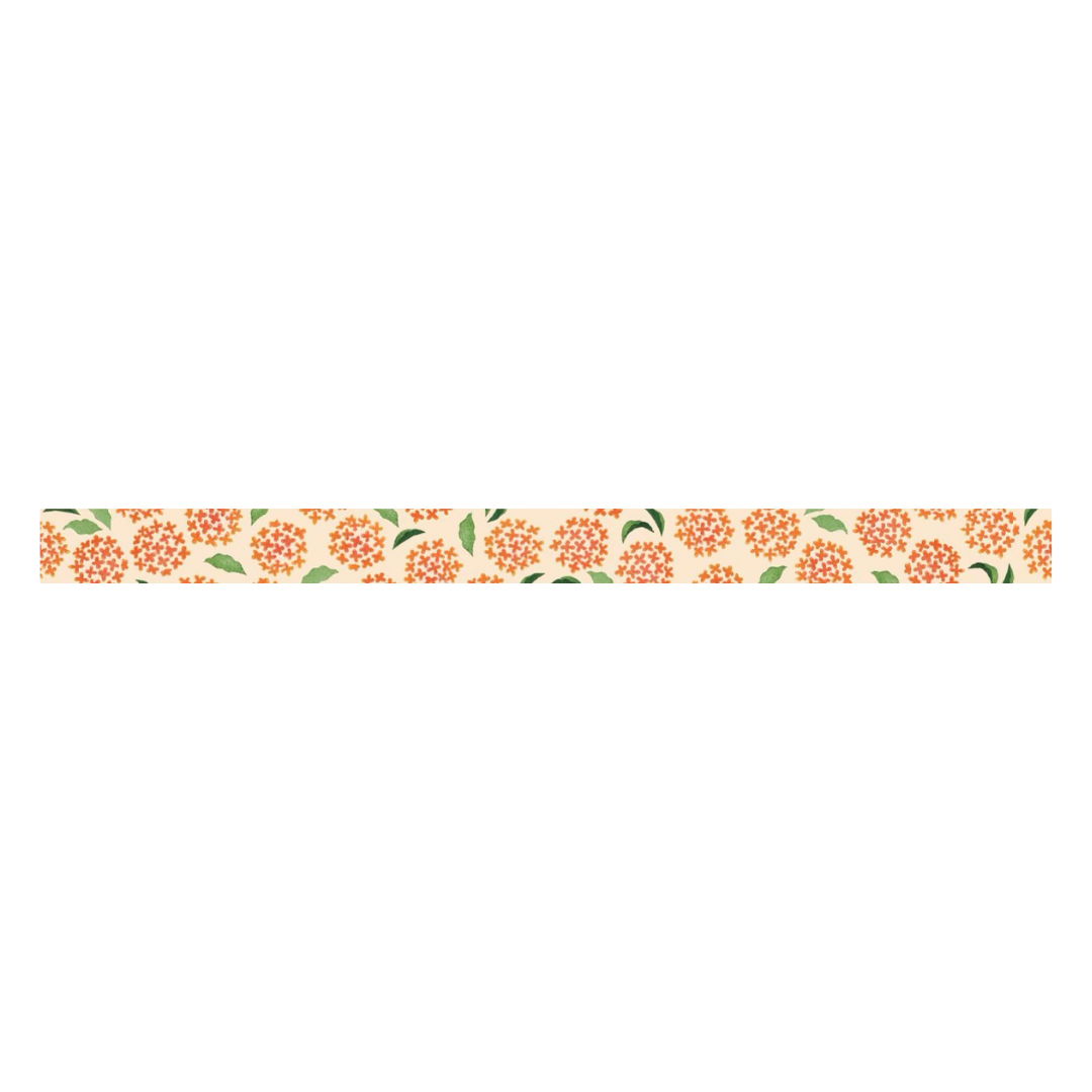 MT x Maruichikyu Washi Tape - Osmanthus — applied on surface