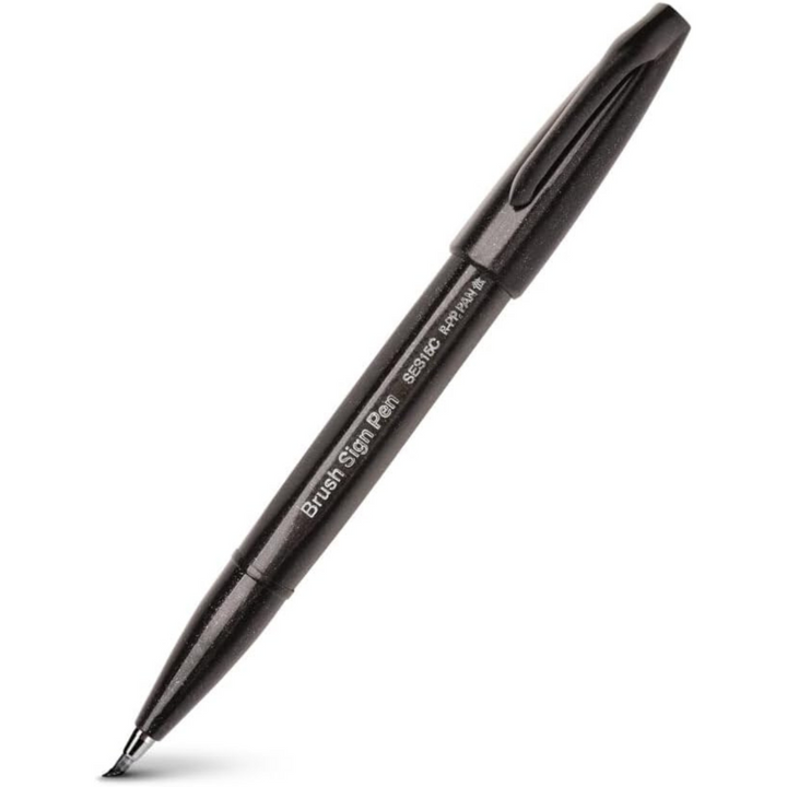 Pentel Brush Sign Pen Set - 30 Colors — with packaging