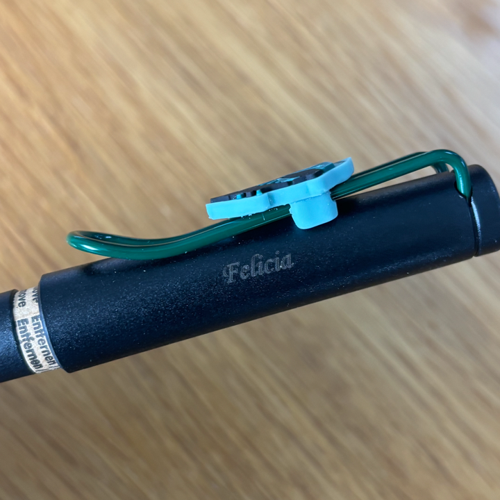 Personalised name engraving on LAMY Safari Harry Potter Fountain Pen  - Slytherin
