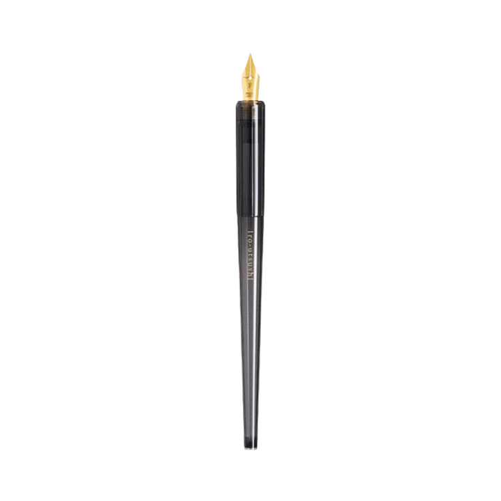 Pilot Iro-Utsushi Dip Fountain Pen - TAKESUMI (Bamboo charcoal) — capped