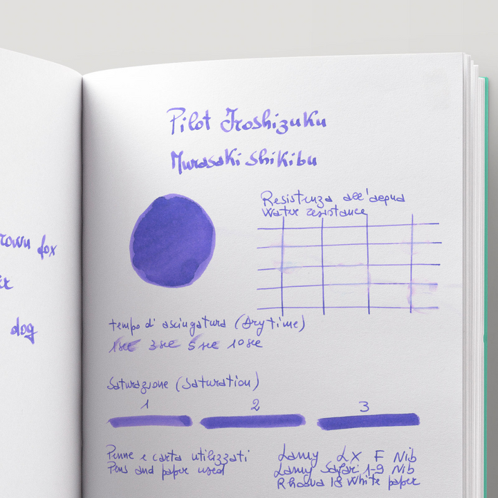 Pilot Iroshizuku 15ml Ink Bottle - Murasaki-shikibu — with pen