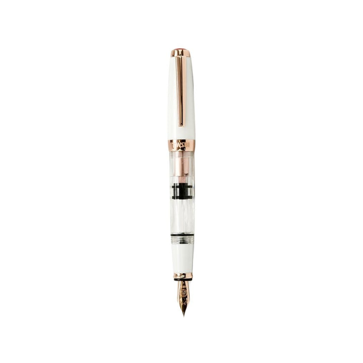 TWSBI Diamond Mini with Rose Gold Trim II Fountain Pen — TWSBI fountain pen — precision nib writing instrument, at Cityluxe Singapore stationery store