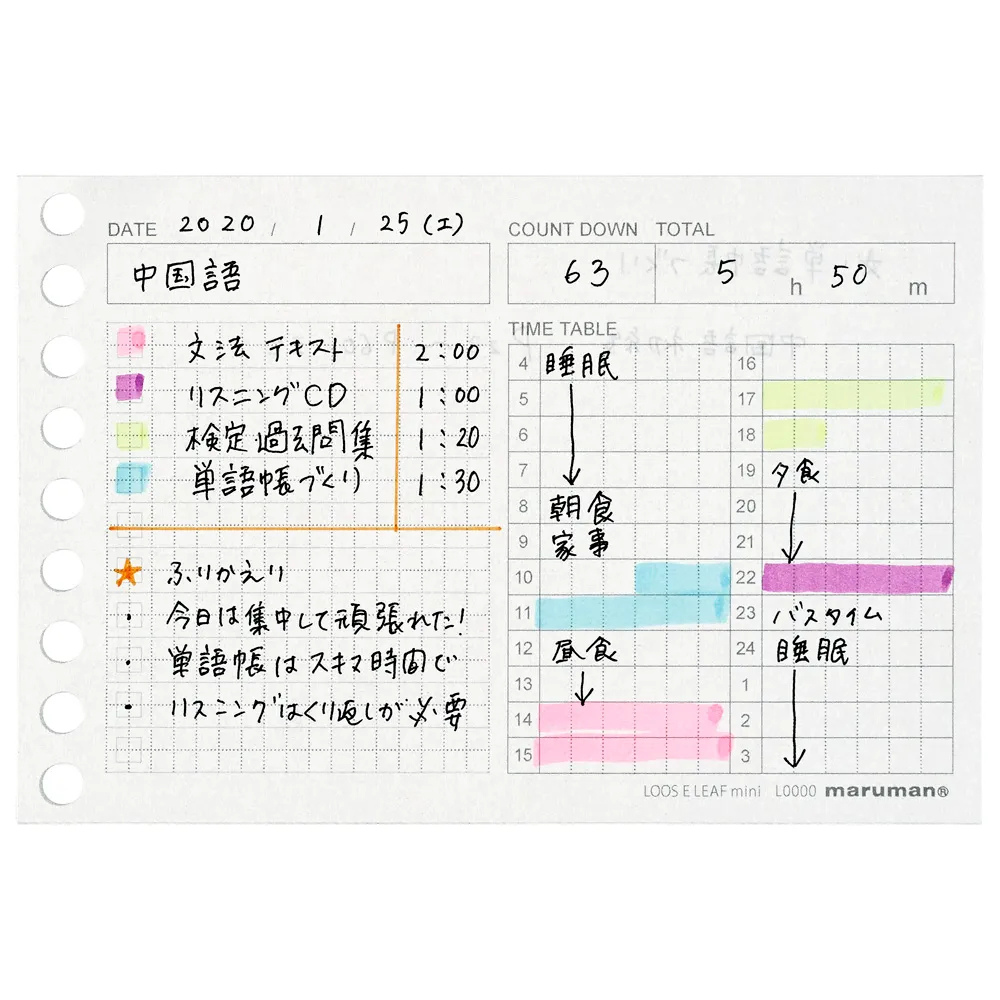Maruman Mini Size Loose Leaf Time Planning — in use