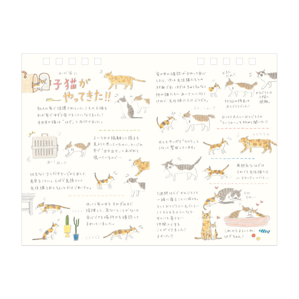 Midori Calendar Ring 2026 (M) - Cat — in use