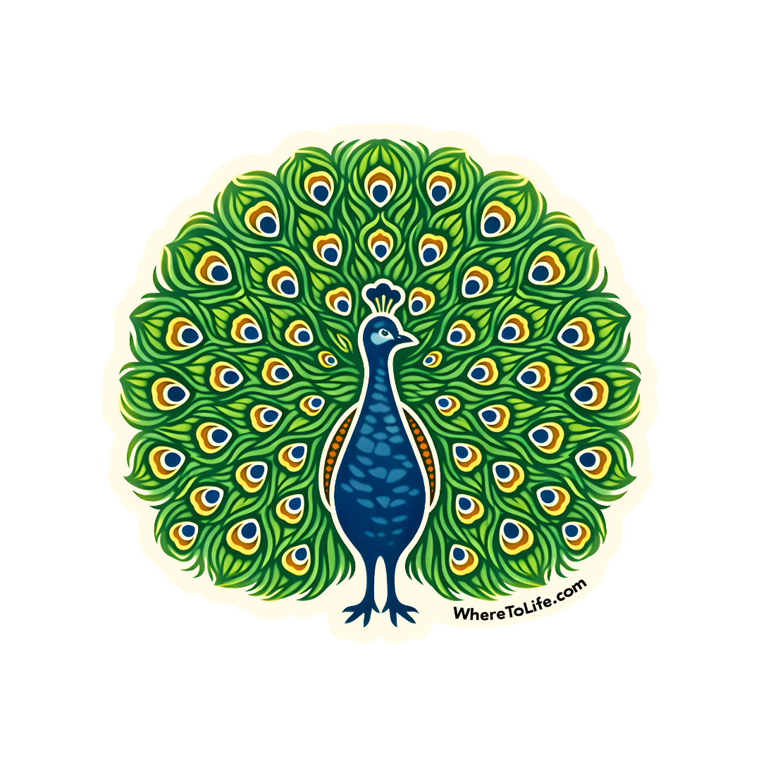 WhereTo Sticker - Tile Peacock