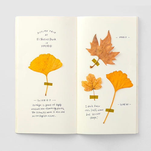 TRAVELER'S notebook Refill 025 (Regular Size) - MD Paper Cream — open spread