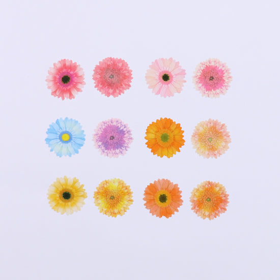 Bande Garbera Washi Roll Sticker — detail view