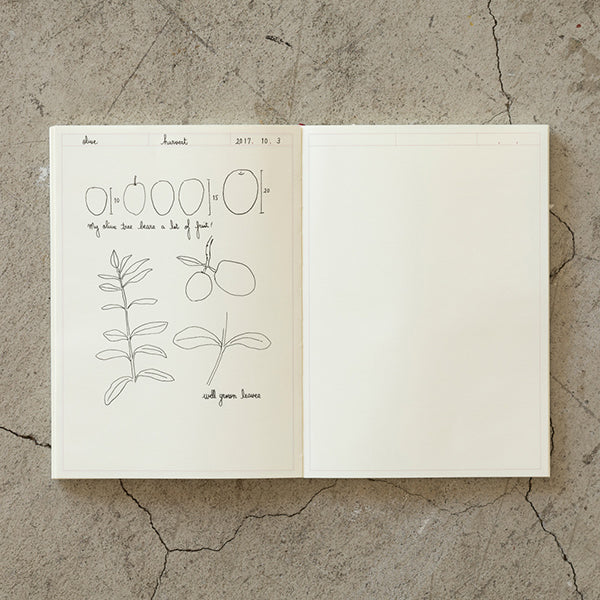 MD Notebook Journal A5 - Frame — open spread