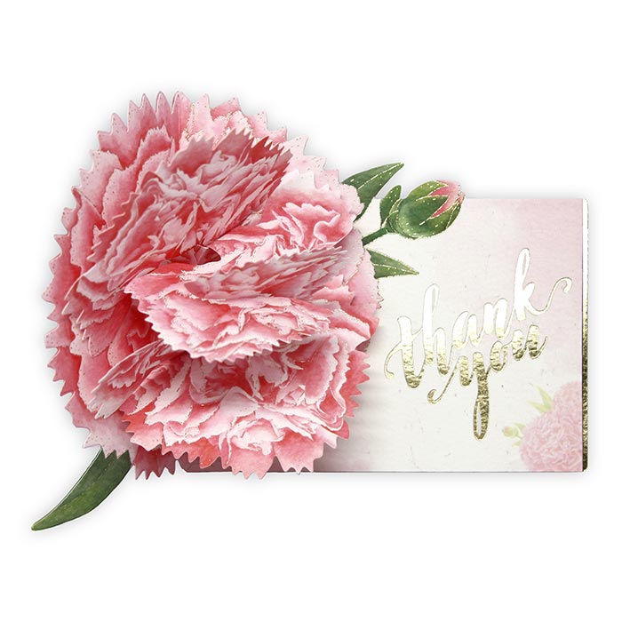 D'Won 3D Pop Up Card Thank You Carnation Pink — front view