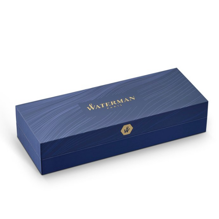 Waterman Expert3 Stainless Steel CT Fountain Pen — flat lay