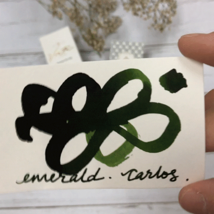 Vinta Inks 30ml Ink Bottle Emerald (Carlos 1960) — with pen