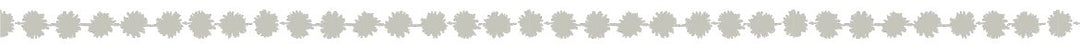 MT Tape 100th Anniversary Sets - Mina Perhonen — close-up