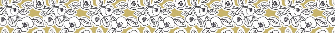 MT Tape 100th Anniversary Sets - Mina Perhonen — close-up