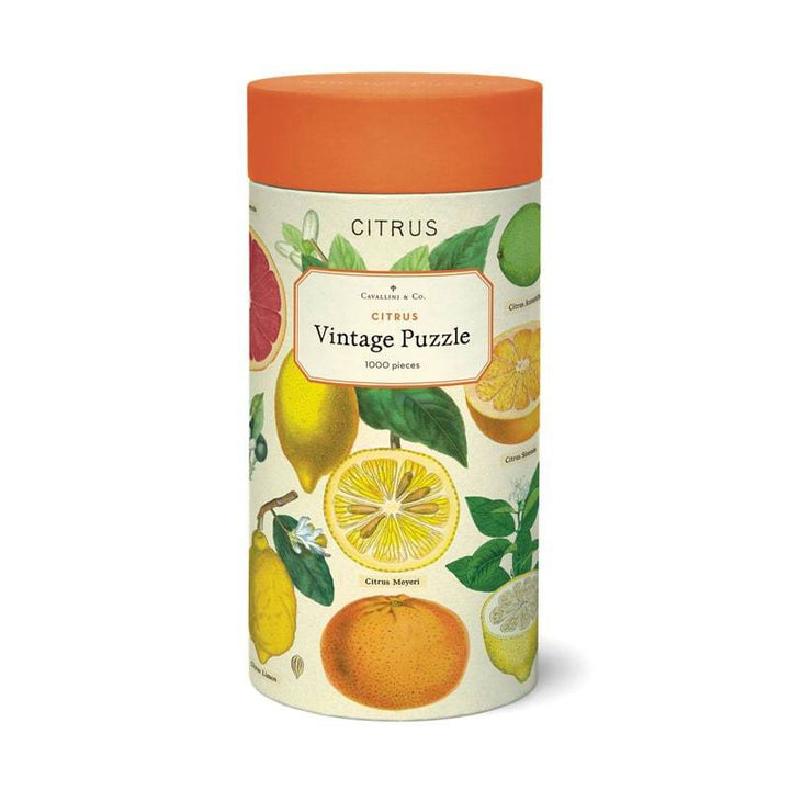 Cavallini Puzzle Citrus — front view