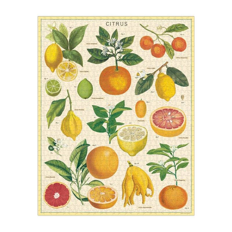 Cavallini Puzzle Citrus — detail view