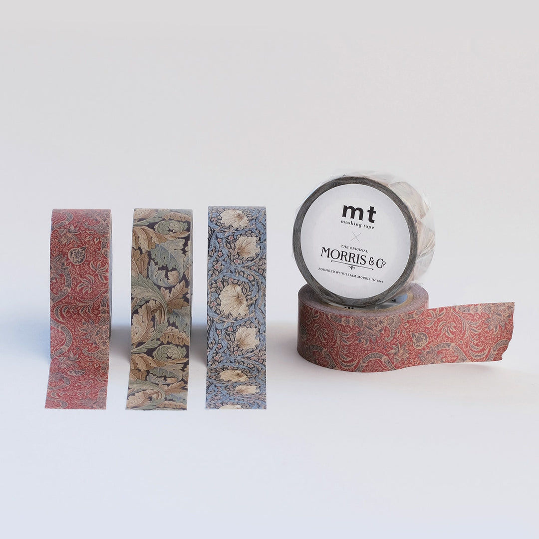 MT x William Morris Washi Tape - Acanthus — with packaging