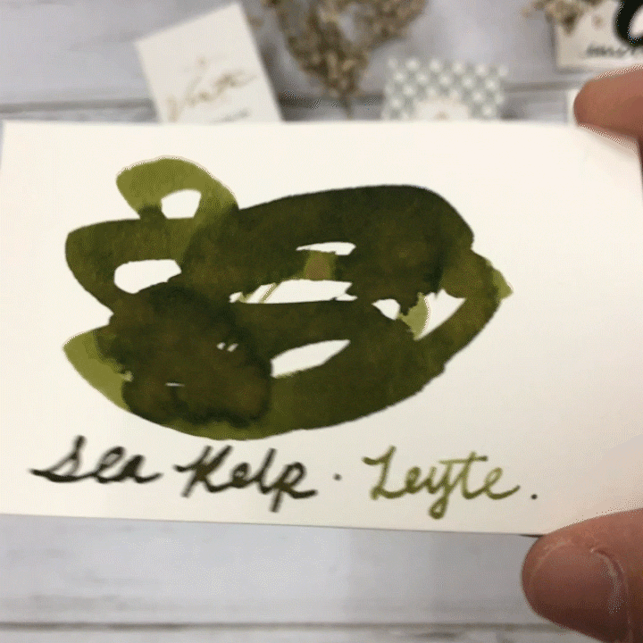 Vinta Inks 30ml Ink Bottle Sea Kelp (Leyte 1944) — with pen