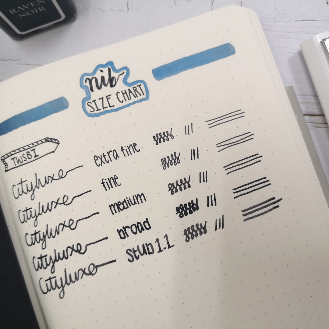 TWSBI Diamond 580 AL R  Fountain Pen - Prussian Blue — flat lay