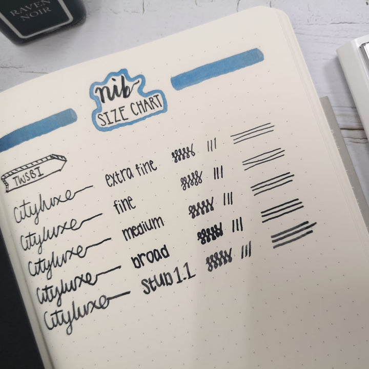 TWSBI Diamond 580 AL R  Fountain Pen - Prussian Blue — flat lay